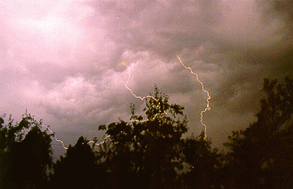 Picture of Lightning